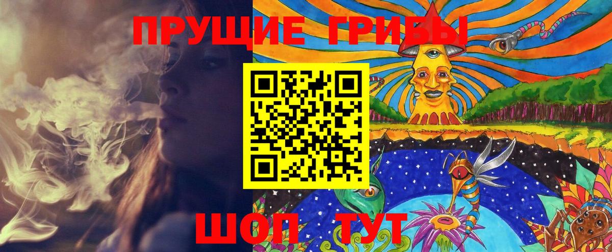 Фрязино  Псилоцибиновые грибы ЛСД  Вход с VPN  Галлюциногенные грибы Magic Shrooms 