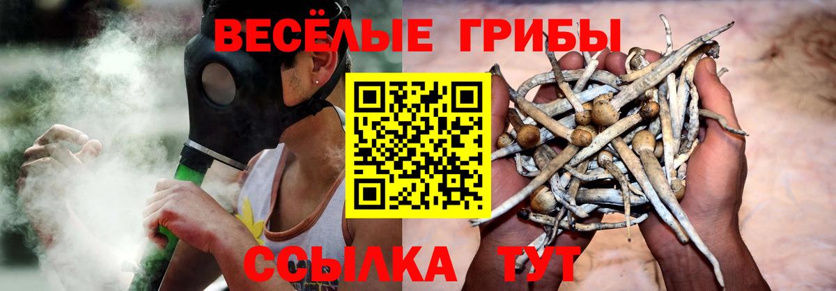 Галлюциногенные грибы Psilocybine cubensis Фрязино