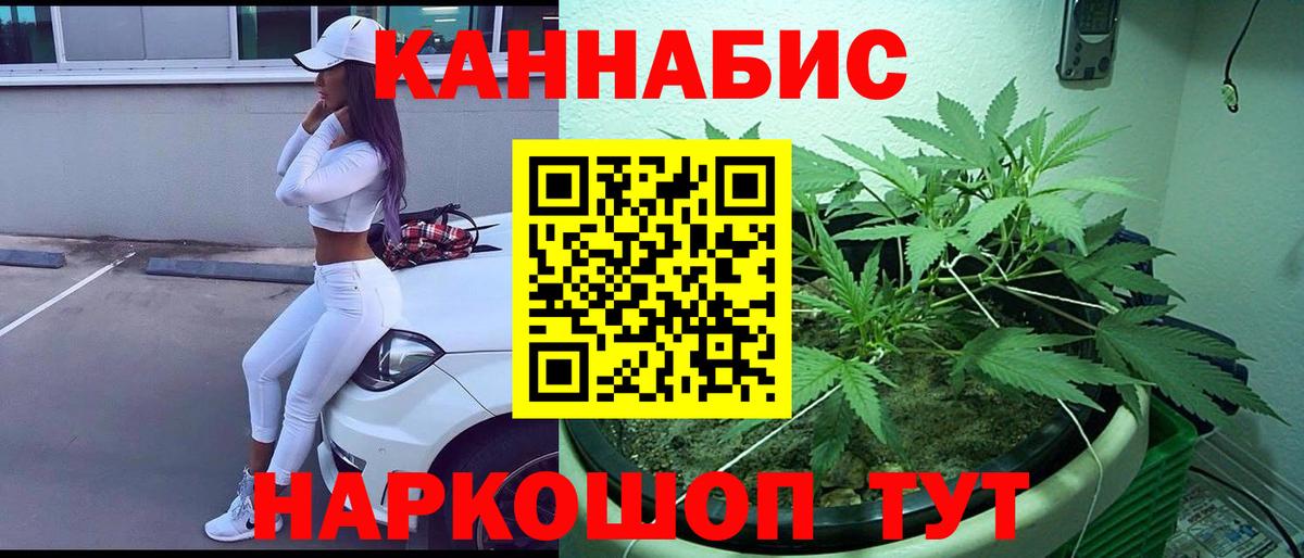 Бошки марихуана планчик  Конопля THC 21%  Вход с VPN  Канабис индика  Фрязино 